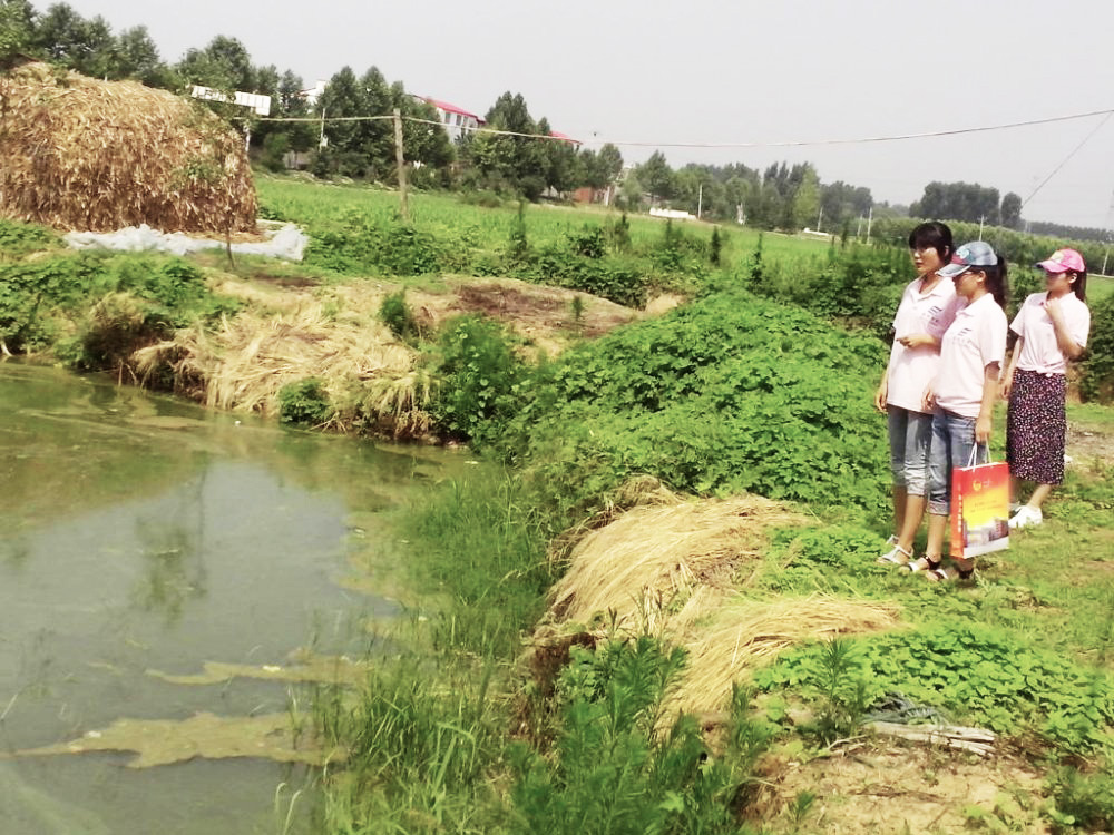 农村水污染环境现状分析，如何有效果进行农村污水处理