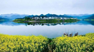 四川省生态环境保护督察组进驻成都市督察公告